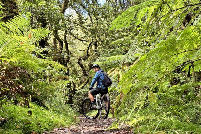 Kalnų dviračių turas – „Levada da Serra“ (lengvas)