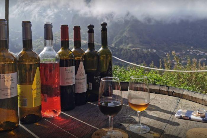 Madeiros vyno turas vynuogyne: 15 rūšių degustacija ir tradiciniai pietūs